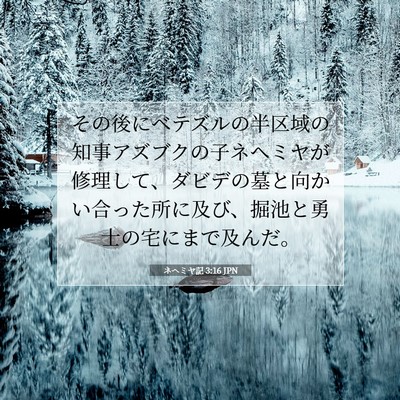 Picture 07 - ネヘミヤ記 3:16 JPN - その後にベテズルの半区域の知事ア - Bible Verse Picture