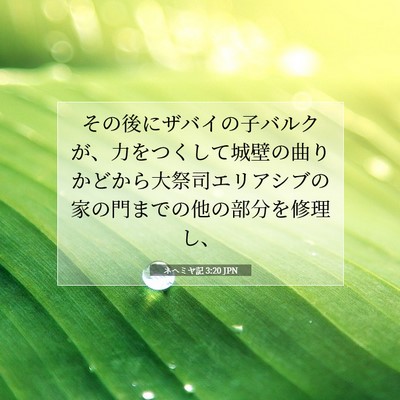 Picture 07 - ネヘミヤ記 3:20 JPN - その後にザバイの子バルクが、力を - Bible Verse Picture