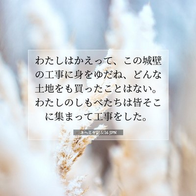 Picture 07 - ネヘミヤ記 5:16 JPN - わたしはかえって、この城壁の工事 - Bible Verse Picture