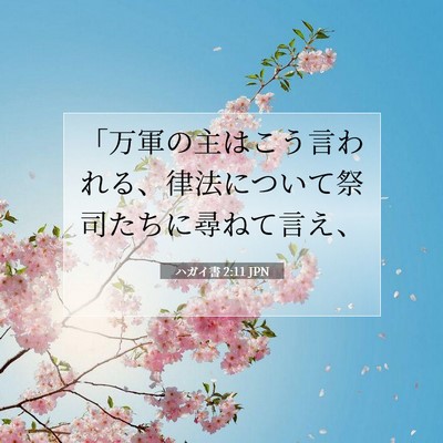 Picture 07 - ハガイ書 2:11 JPN - 「万軍の主はこう言われる、律法に - Bible Verse Picture
