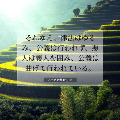 Picture 07 - ハバクク書 1:4 JPN - それゆえ、律法はゆるみ、公義は行 - Bible Verse Picture