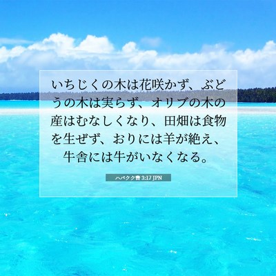 Picture 07 - ハバクク書 3:17 JPN - いちじくの木は花咲かず、ぶどうの - Bible Verse Picture
