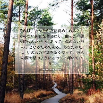 Picture 07 - ピリピ人への手紙 2:15 JPN - それは、あなたがたが責められると - Bible Verse Picture