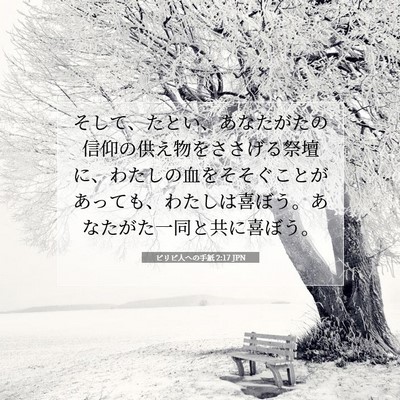 Picture 07 - ピリピ人への手紙 2:17 JPN - そして、たとい、あなたがたの信仰 - Bible Verse Picture