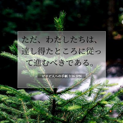 Picture 07 - ピリピ人への手紙 3:16 JPN - ただ、わたしたちは、達し得たとこ - Bible Verse Picture