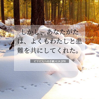 Picture 07 - ピリピ人への手紙 4:14 JPN - しかし、あなたがたは、よくもわた - Bible Verse Picture
