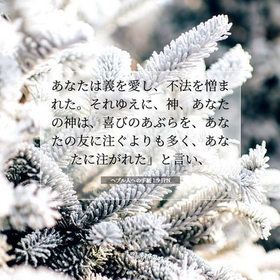 Picture 07 - ヘブル人への手紙 1:9 JPN - あなたは義を愛し、不法を憎まれた - Bible Verse Picture
