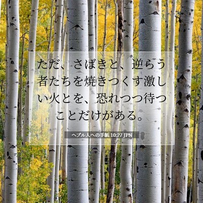 Picture 07 - ヘブル人への手紙 10:27 JPN - ただ、さばきと、逆らう者たちを焼 - Bible Verse Picture