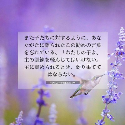 Picture 07 - ヘブル人への手紙 12:5 JPN - また子たちに対するように、あなた - Bible Verse Picture