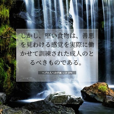 Picture 07 - ヘブル人への手紙 5:14 JPN - しかし、堅い食物は、善悪を見わけ - Bible Verse Picture