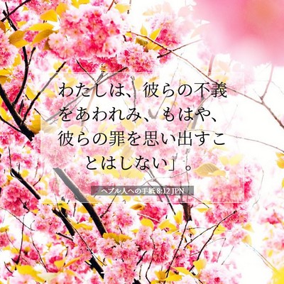 Picture 07 - ヘブル人への手紙 8:12 JPN - わたしは、彼らの不義をあわれみ、 - Bible Verse Picture