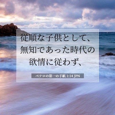 Picture 07 - ペテロの第一の手紙 1:14 JPN - 従順な子供として、無知であった時 - Bible Verse Picture