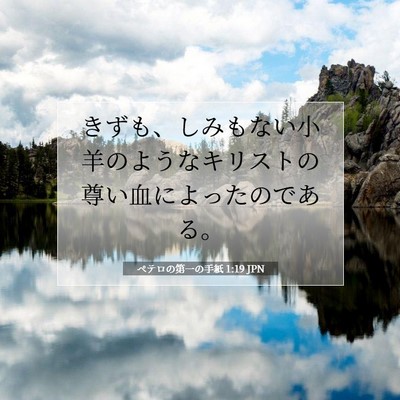 Picture 07 - ペテロの第一の手紙 1:19 JPN - きずも、しみもない小羊のようなキ - Bible Verse Picture