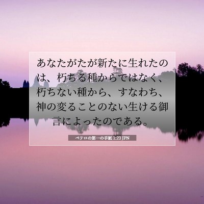Picture 07 - ペテロの第一の手紙 1:23 JPN - あなたがたが新たに生れたのは、朽 - Bible Verse Picture