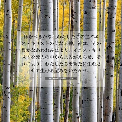 Picture 07 - ペテロの第一の手紙 1:3 JPN - ほむべきかな、わたしたちの主イエ - Bible Verse Picture