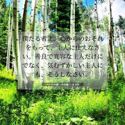 Picture 07 - ペテロの第一の手紙 2:18 JPN - 僕たる者よ。心からのおそれをもっ - Bible Verse Picture