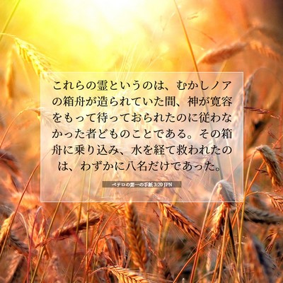 Picture 07 - ペテロの第一の手紙 3:20 JPN - これらの霊というのは、むかしノア - Bible Verse Picture