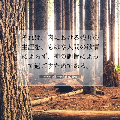 Picture 07 - ペテロの第一の手紙 4:2 JPN - それは、肉における残りの生涯を、 - Bible Verse Picture