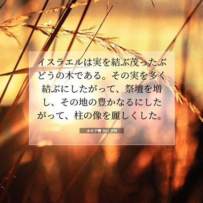 Picture 07 - ホセア書 10:1 JPN - イスラエルは実を結ぶ茂ったぶどう - Bible Verse Picture