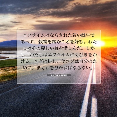Picture 07 - ホセア書 10:11 JPN - エフライムはならされた若い雌牛で - Bible Verse Picture