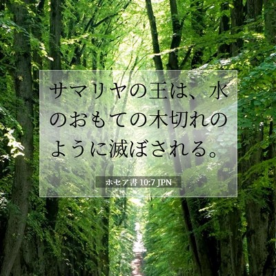Picture 07 - ホセア書 10:7 JPN - サマリヤの王は、水のおもての木切 - Bible Verse Picture