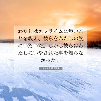Picture 07 - ホセア書 11:3 JPN - わたしはエフライムに歩むことを教 - Bible Verse Picture
