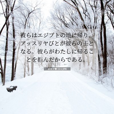 Picture 07 - ホセア書 11:5 JPN - 彼らはエジプトの地に帰り、アッス - Bible Verse Picture