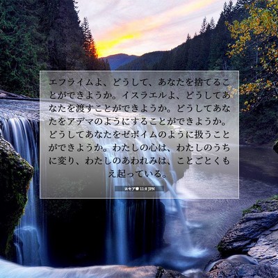 Picture 07 - ホセア書 11:8 JPN - エフライムよ、どうして、あなたを - Bible Verse Picture