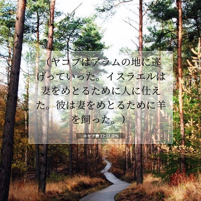 Picture 07 - ホセア書 12:12 JPN - （ヤコブはアラムの地に逃げってい - Bible Verse Picture