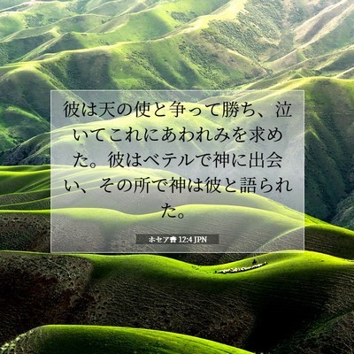 Picture 07 - ホセア書 12:4 JPN - 彼は天の使と争って勝ち、泣いてこ - Bible Verse Picture