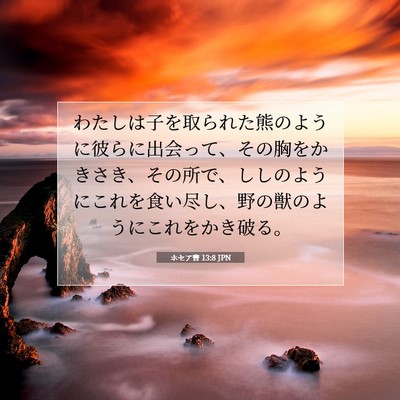 Picture 07 - ホセア書 13:8 JPN - わたしは子を取られた熊のように彼 - Bible Verse Picture