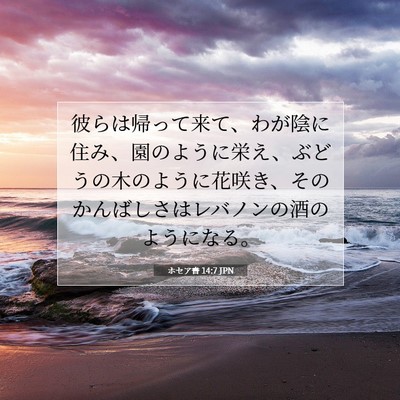 Picture 07 - ホセア書 14:7 JPN - 彼らは帰って来て、わが陰に住み、 - Bible Verse Picture
