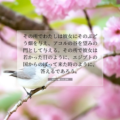 Picture 07 - ホセア書 2:15 JPN - その所でわたしは彼女にそのぶどう - Bible Verse Picture