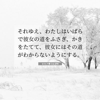 Picture 07 - ホセア書 2:6 JPN - それゆえ、わたしはいばらで彼女の - Bible Verse Picture