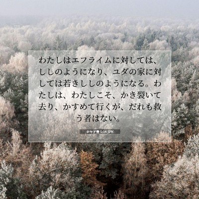 Picture 07 - ホセア書 5:14 JPN - わたしはエフライムに対しては、し - Bible Verse Picture