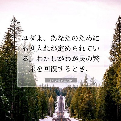 Picture 07 - ホセア書 6:11 JPN - ユダよ、あなたのためにも刈入れが - Bible Verse Picture