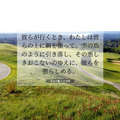 Picture 07 - ホセア書 7:12 JPN - 彼らが行くとき、わたしは彼らの上 - Bible Verse Picture