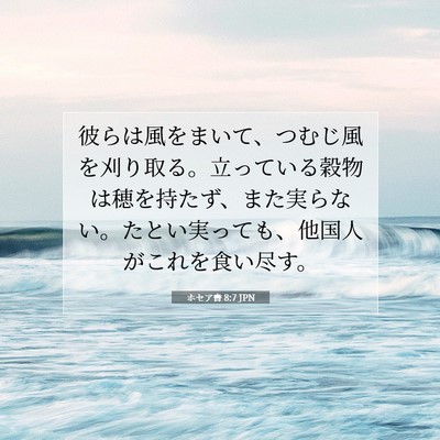 Picture 07 - ホセア書 8:7 JPN - 彼らは風をまいて、つむじ風を刈り - Bible Verse Picture