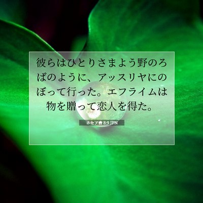 Picture 07 - ホセア書 8:9 JPN - 彼らはひとりさまよう野のろばのよ - Bible Verse Picture