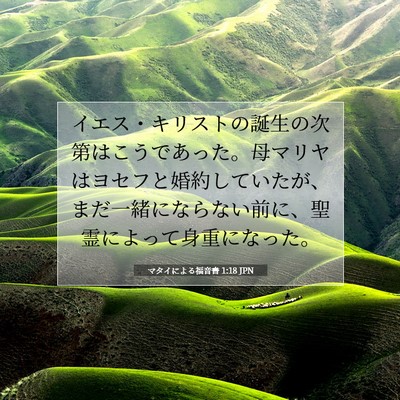 Picture 07 - マタイによる福音書 1:18 JPN - イエス・キリストの誕生の次第はこ - Bible Verse Picture