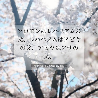 Picture 07 - マタイによる福音書 1:7 JPN - ソロモンはレハベアムの父、レハベ - Bible Verse Picture