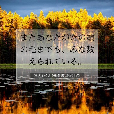 Picture 07 - マタイによる福音書 10:30 JPN - またあなたがたの頭の毛までも、み - Bible Verse Picture