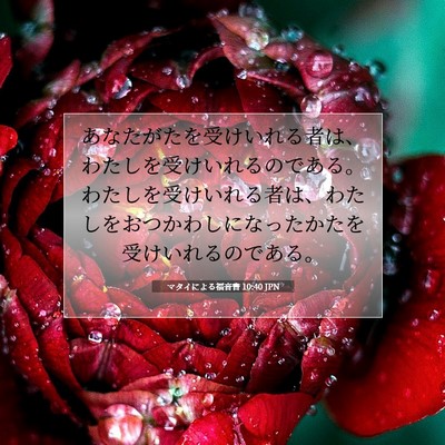 Picture 07 - マタイによる福音書 10:40 JPN - あなたがたを受けいれる者は、わた - Bible Verse Picture