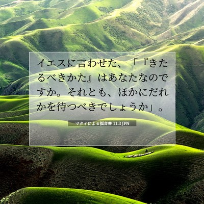 Picture 07 - マタイによる福音書 11:3 JPN - イエスに言わせた、「『きたるべき - Bible Verse Picture