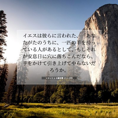 Picture 07 - マタイによる福音書 12:11 JPN - イエスは彼らに言われた、「あなた - Bible Verse Picture