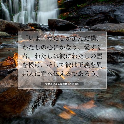 Picture 07 - マタイによる福音書 12:18 JPN - 「見よ、わたしが選んだ僕、わたし - Bible Verse Picture