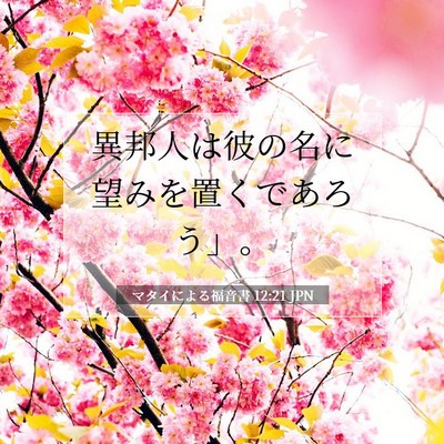 Picture 07 - マタイによる福音書 12:21 JPN - 異邦人は彼の名に望みを置くであろ - Bible Verse Picture