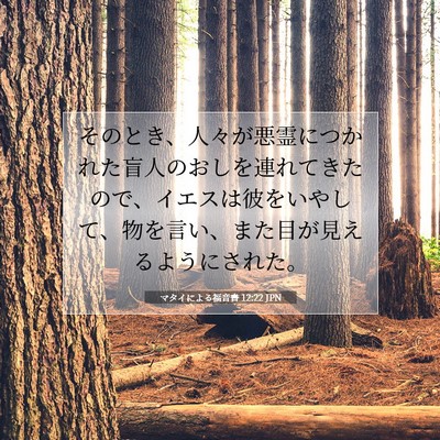 Picture 07 - マタイによる福音書 12:22 JPN - そのとき、人々が悪霊につかれた盲 - Bible Verse Picture