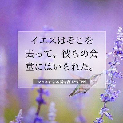 Picture 07 - マタイによる福音書 12:9 JPN - イエスはそこを去って、彼らの会堂 - Bible Verse Picture