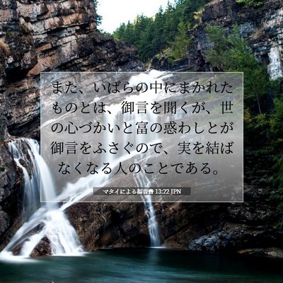 Picture 07 - マタイによる福音書 13:22 JPN - また、いばらの中にまかれたものと - Bible Verse Picture
